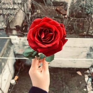 Meet your Posher, Dono